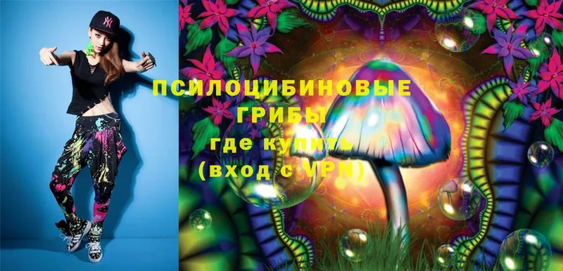 Псилоцибиновые грибы Magic Shrooms  KRAKEN сайт  Грайворон 